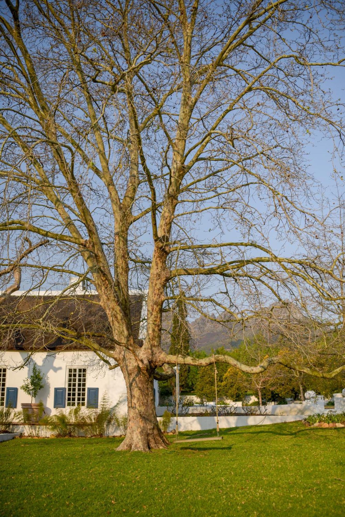 San Gabriel Homestead * Somerset West